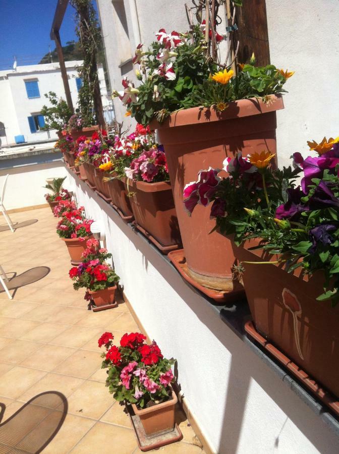 B&B Celestina Ischia Lacco Ameno  Buitenkant foto